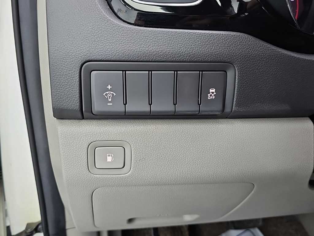 Kia Carnival — photo 19