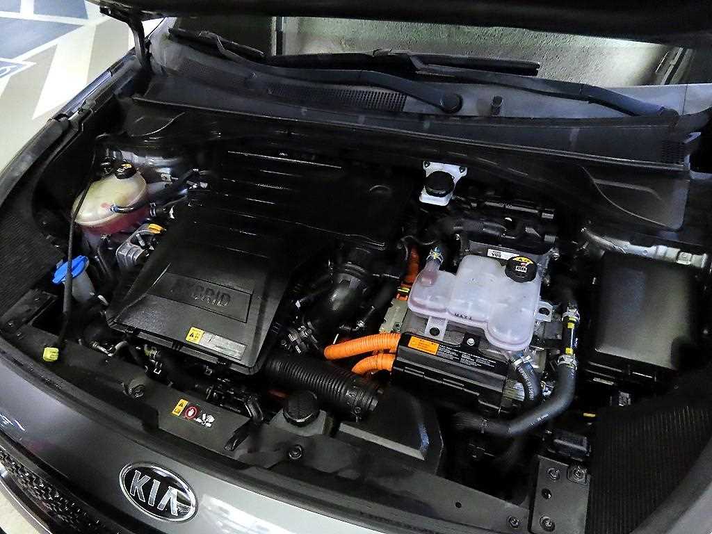 Kia Niro — photo 19