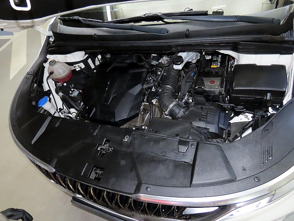 Kia Carnival — photo 19
