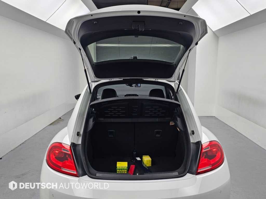 Volkswagen Beatle — photo 19