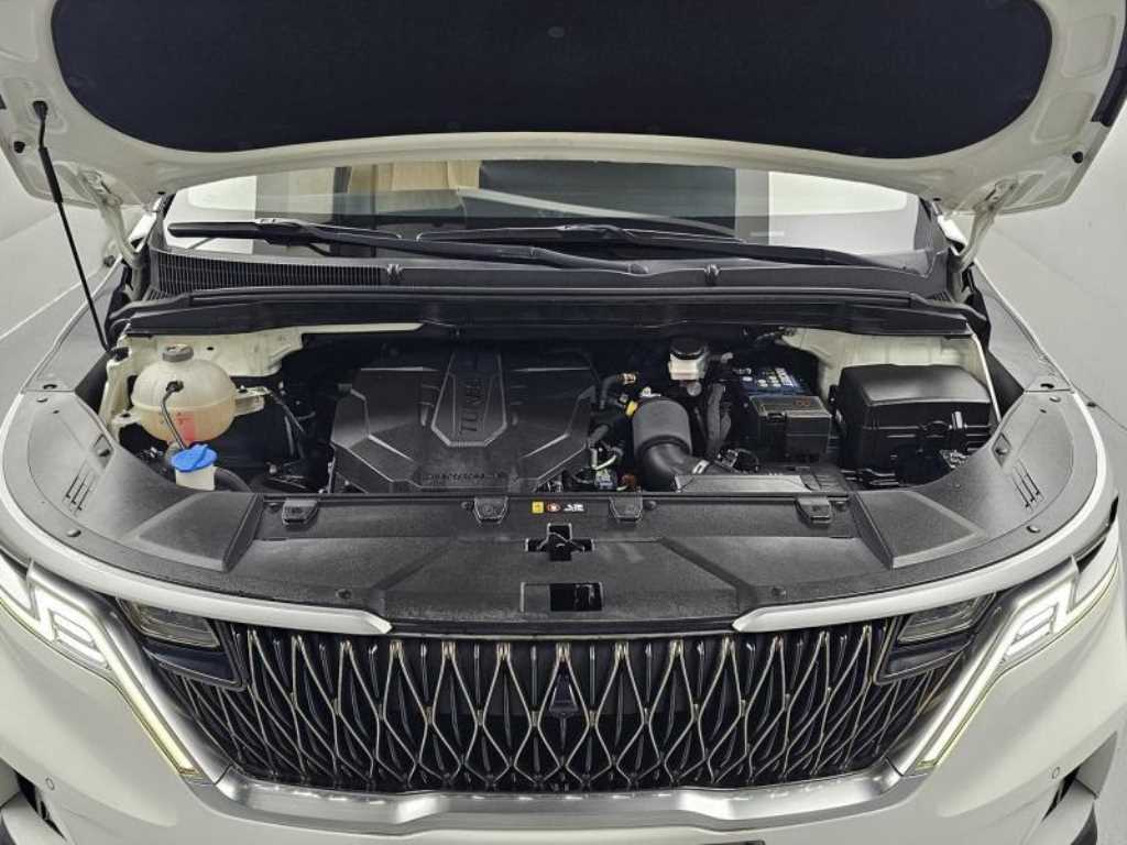Kia Carnival — photo 06