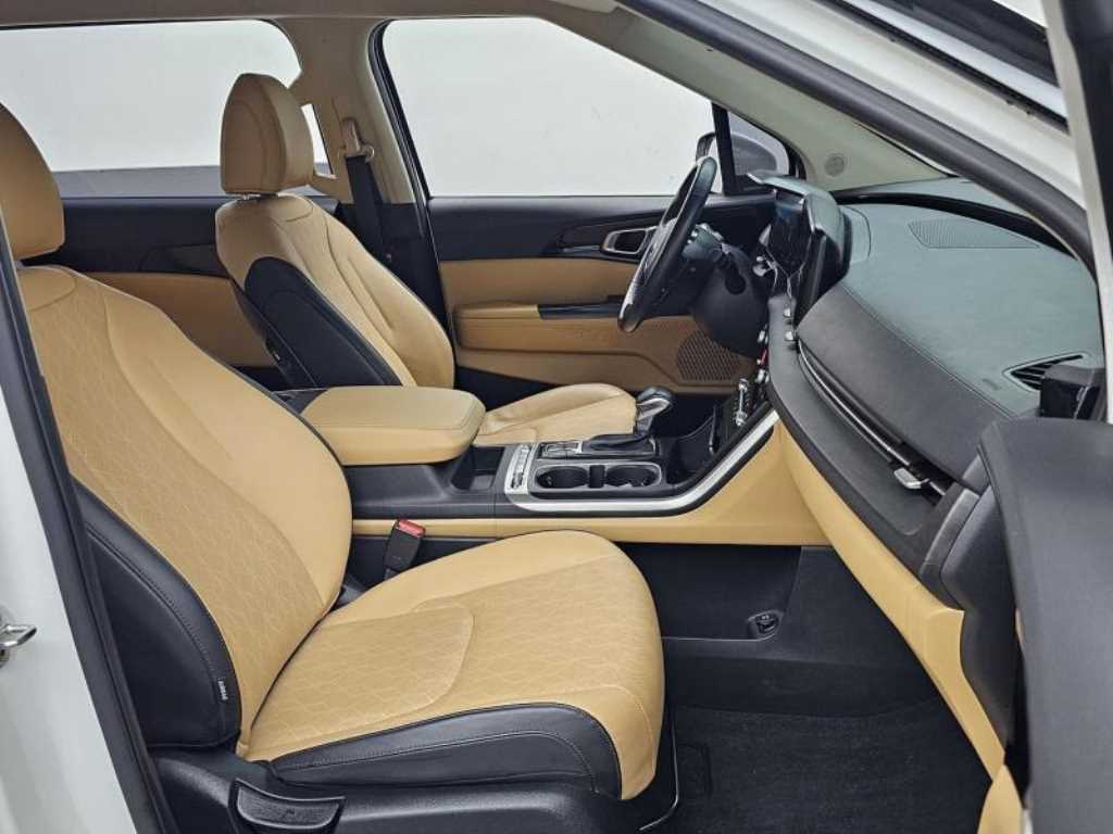 Kia Carnival — photo 10