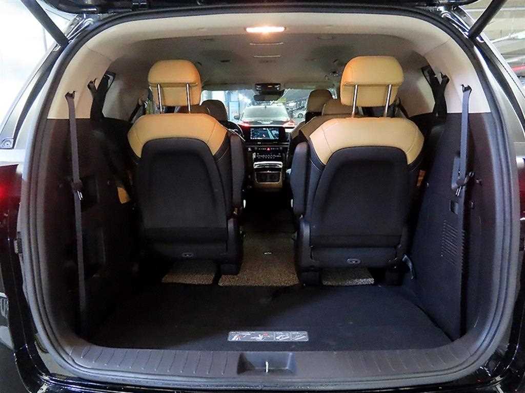 Kia Carnival — photo 16