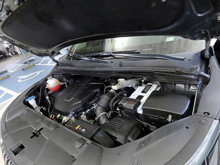 Kia Carnival — photo 19