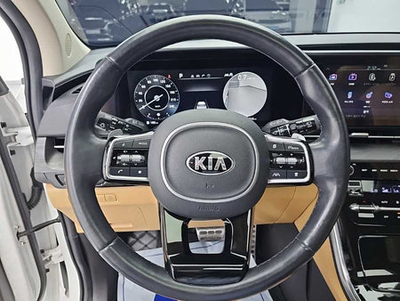 Kia Carnival — photo 09