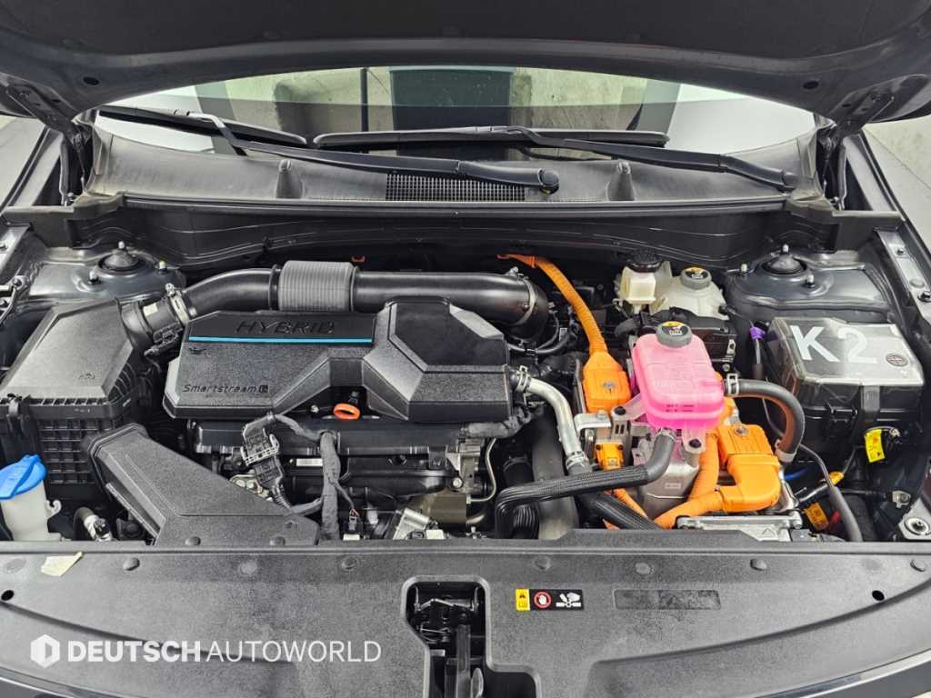 Kia Sportage — photo 06