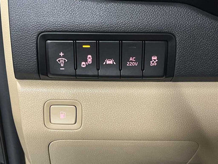 Kia Carnival — photo 14