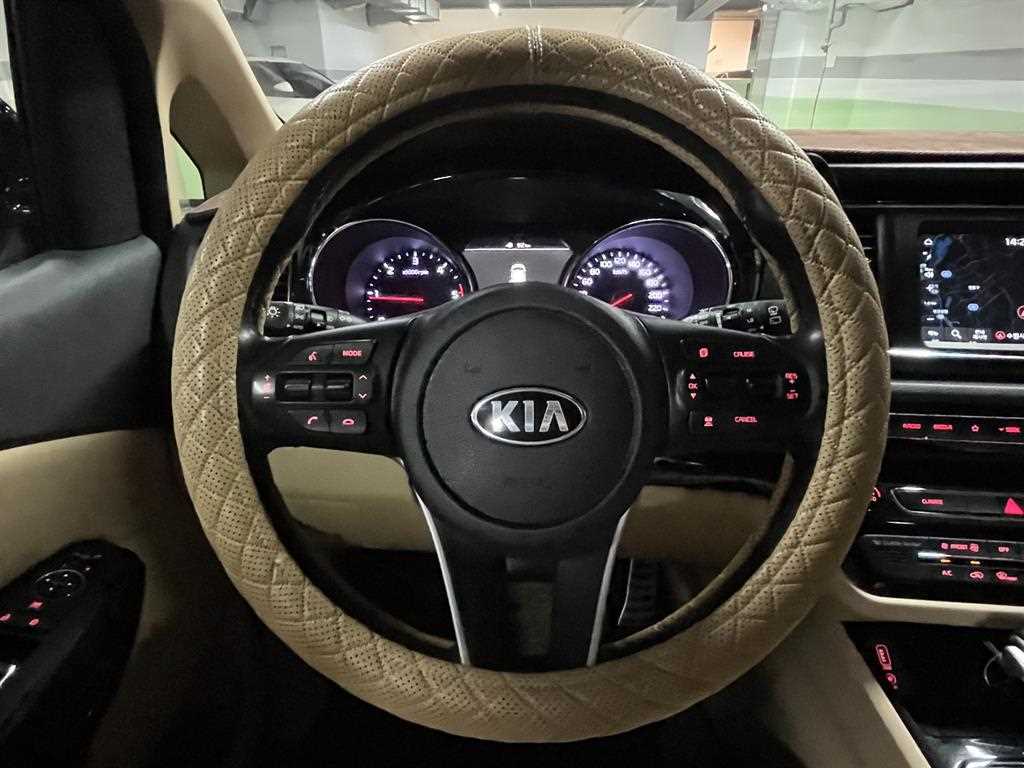 Kia Carnival — photo 19