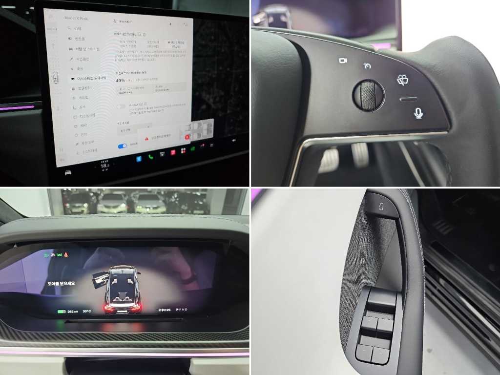 Tesla Model X — photo 18