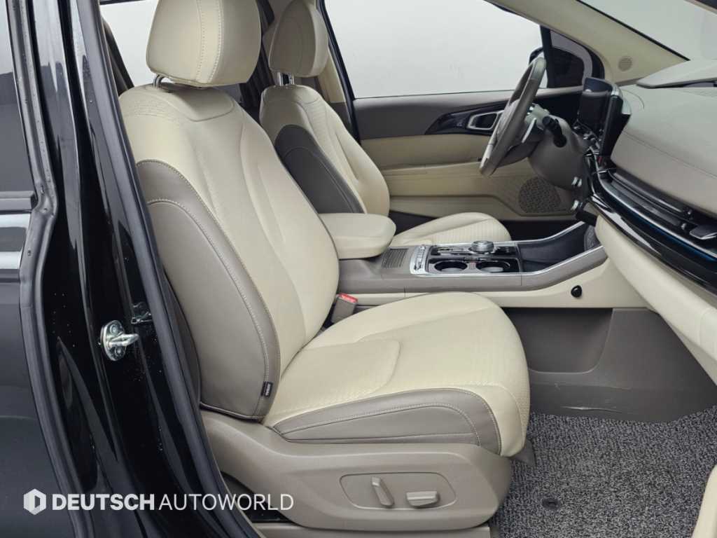 Kia Carnival — photo 10