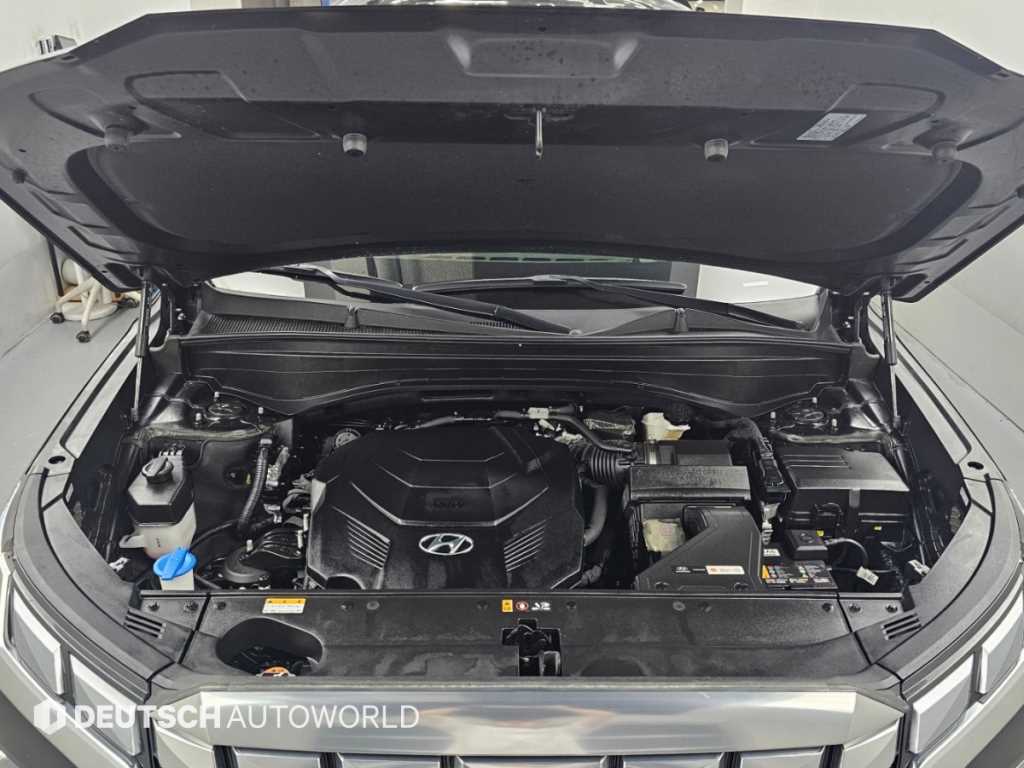 Hyundai Palisade — photo 06