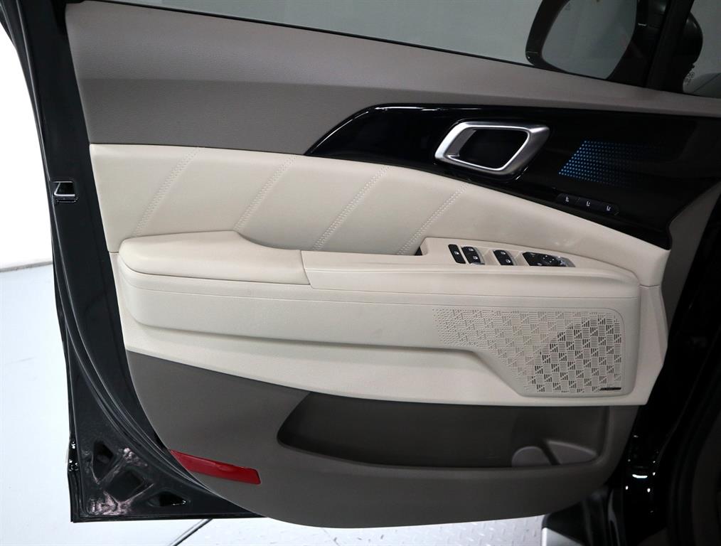 Kia Carnival — photo 08