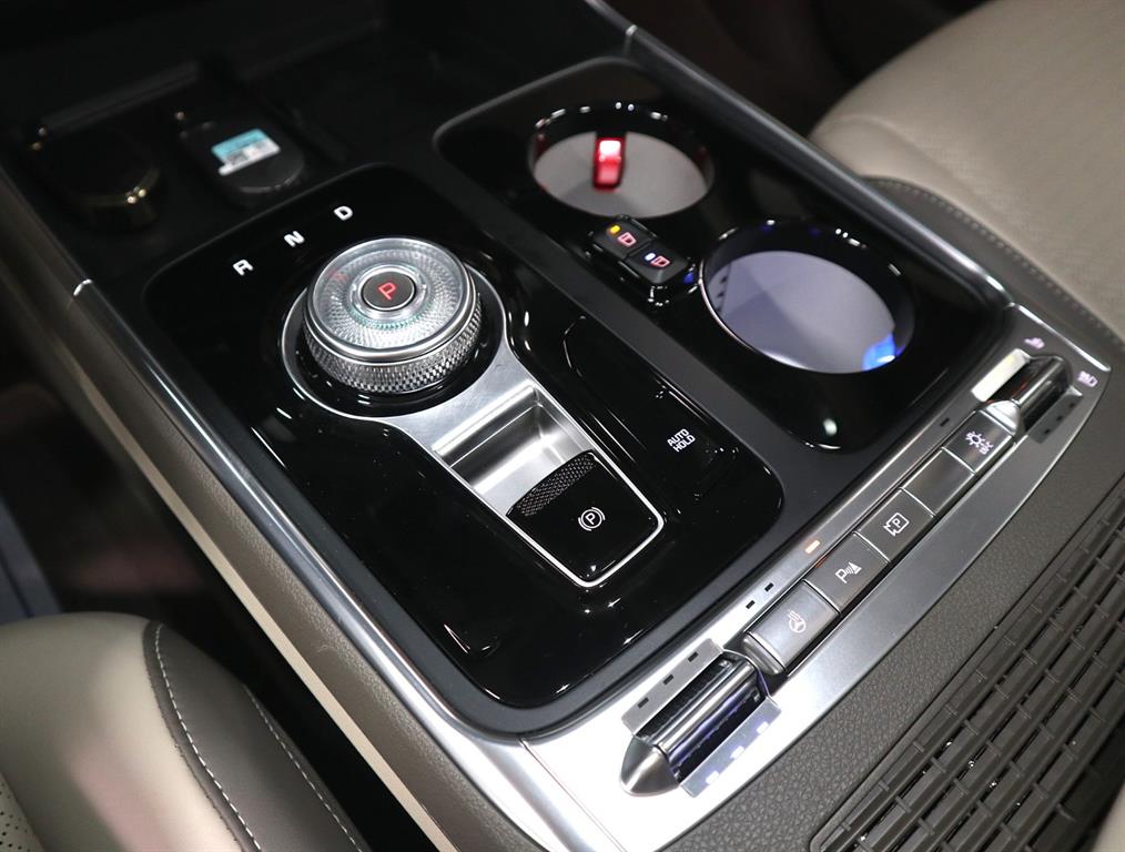 Kia Carnival — photo 15