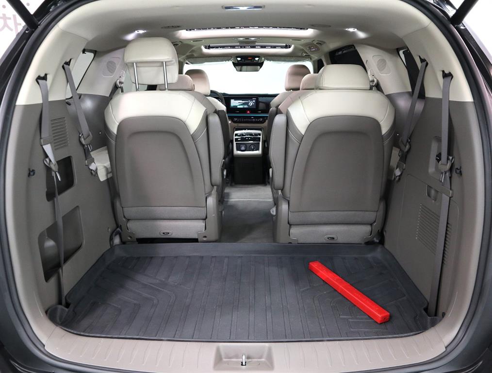 Kia Carnival — photo 16
