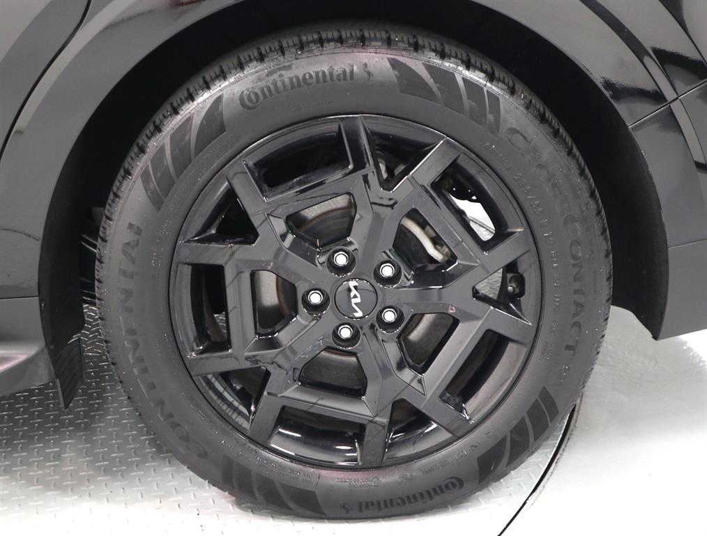 Kia Carnival — photo 17