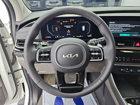Kia Carnival — photo 10