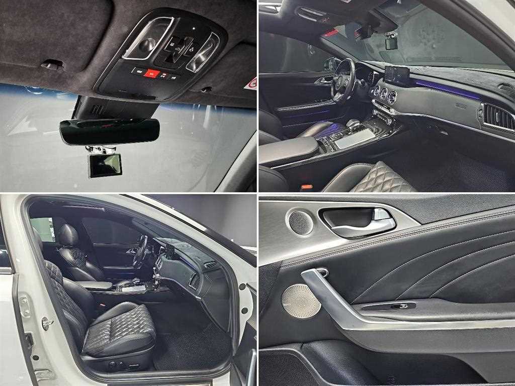Kia Stinger — photo 19