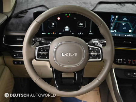 Kia Carnival — photo 13
