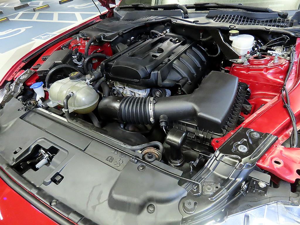 Ford Mustang — photo 18