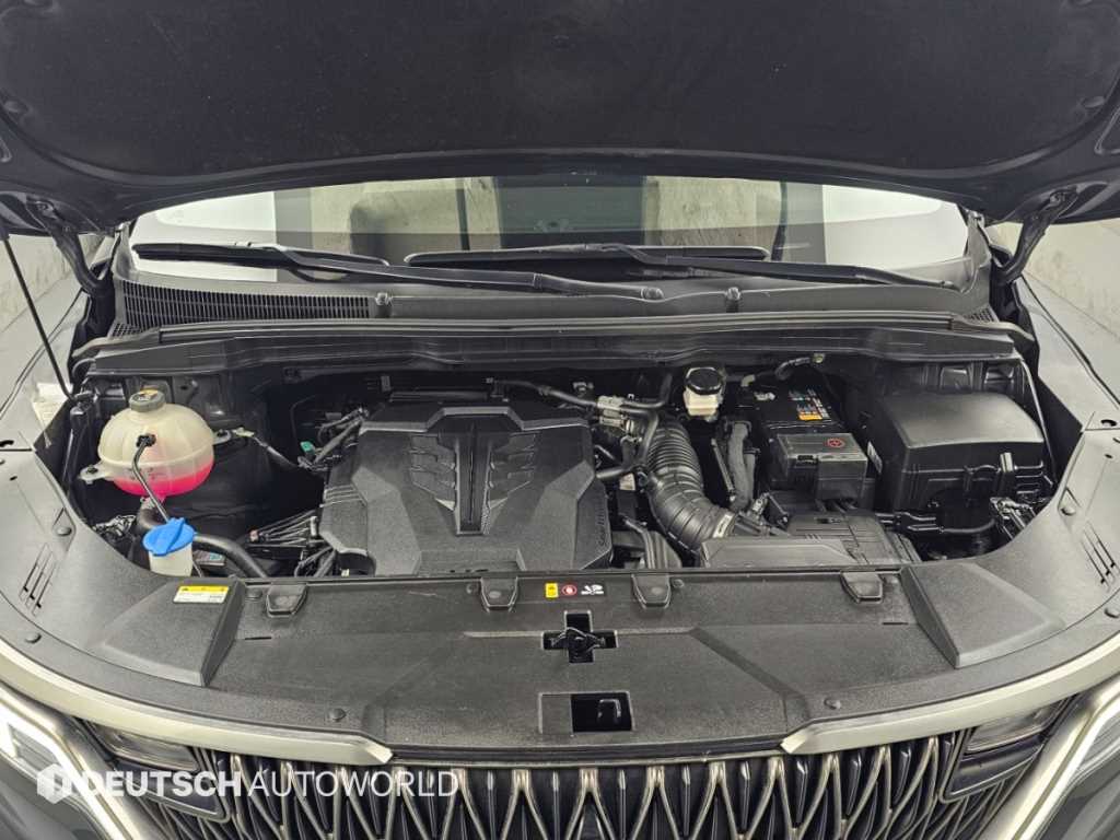 Kia Carnival — photo 06