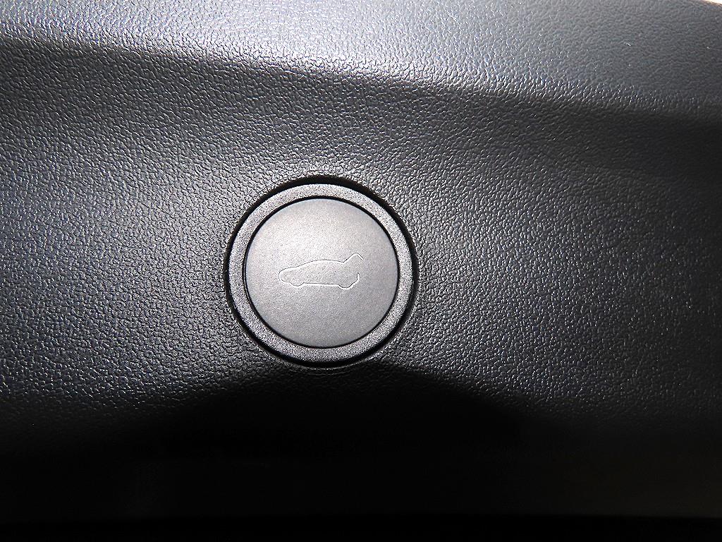 Tesla Model Y — photo 16