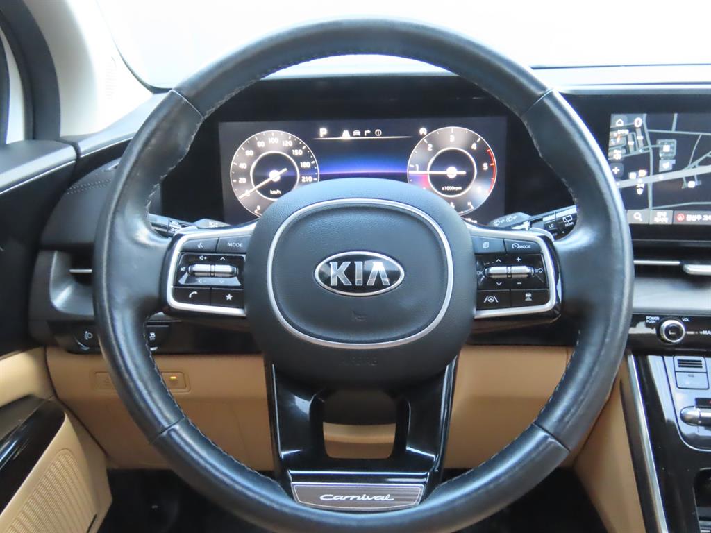 Kia Carnival — photo 12