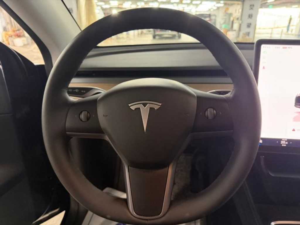 Tesla Model Y — photo 08