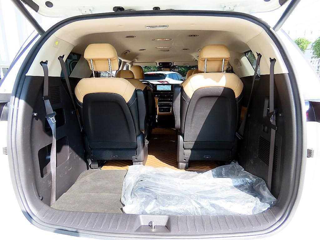 Kia Carnival — photo 16