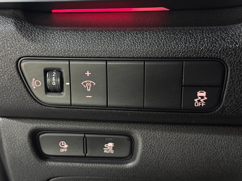 Kia Niro — photo 16