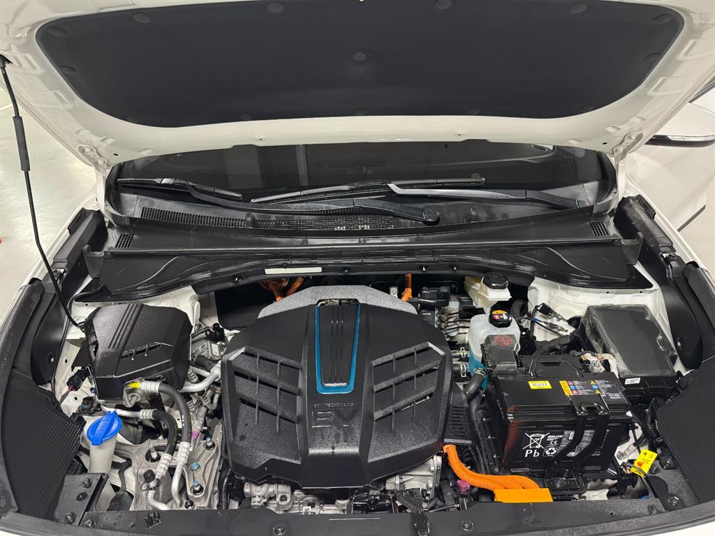 Kia Niro — photo 19