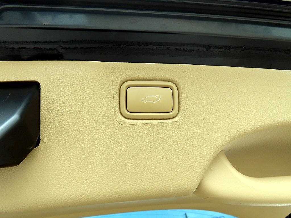 Kia Carnival — photo 16