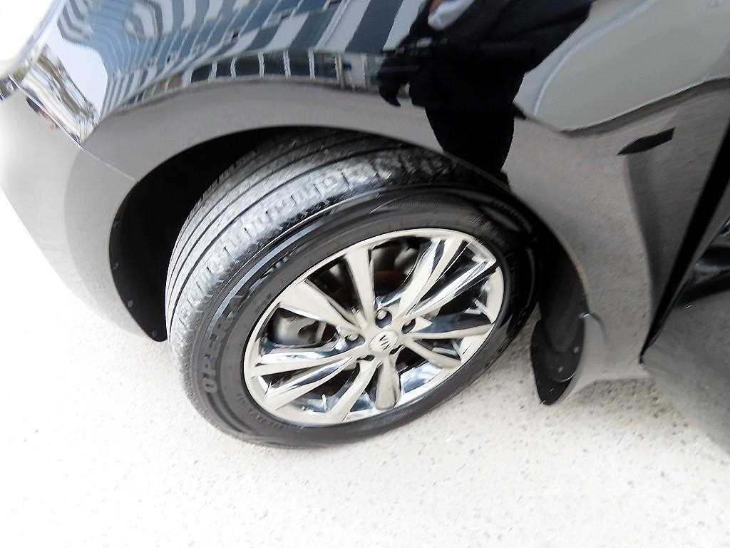 Kia Carnival — photo 20