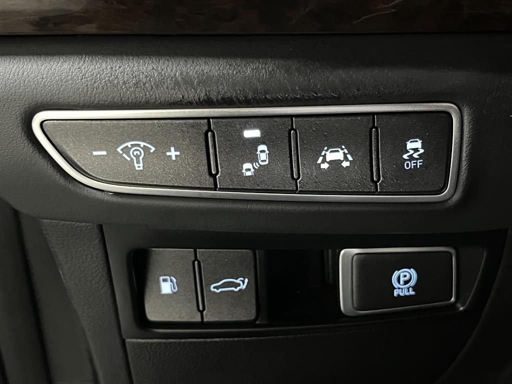 Genesis EQ900 — photo 13