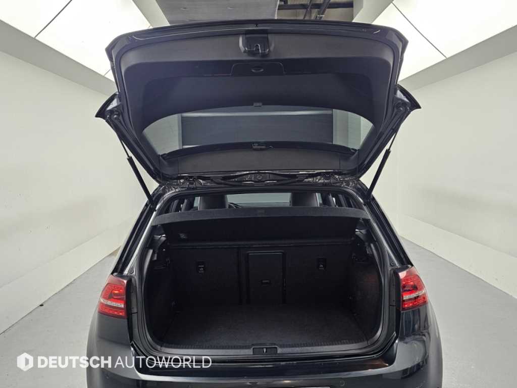Volkswagen Golf — photo 19