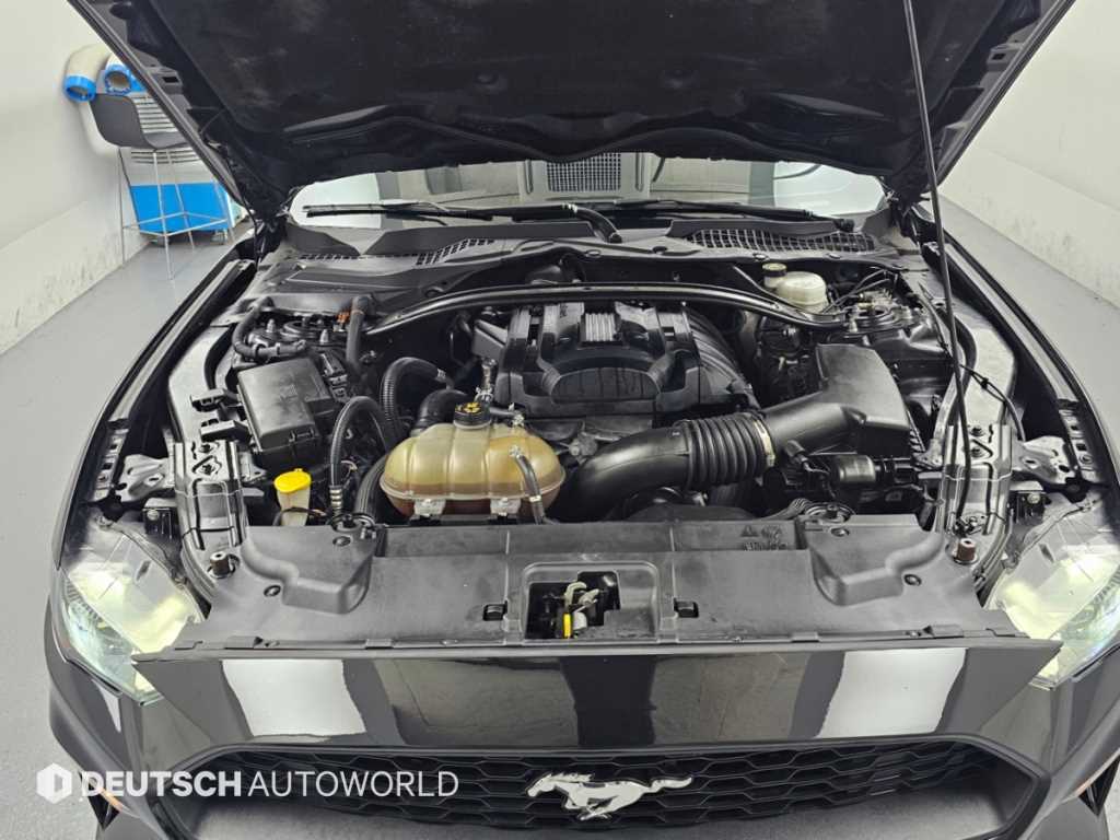 Ford Mustang — photo 06