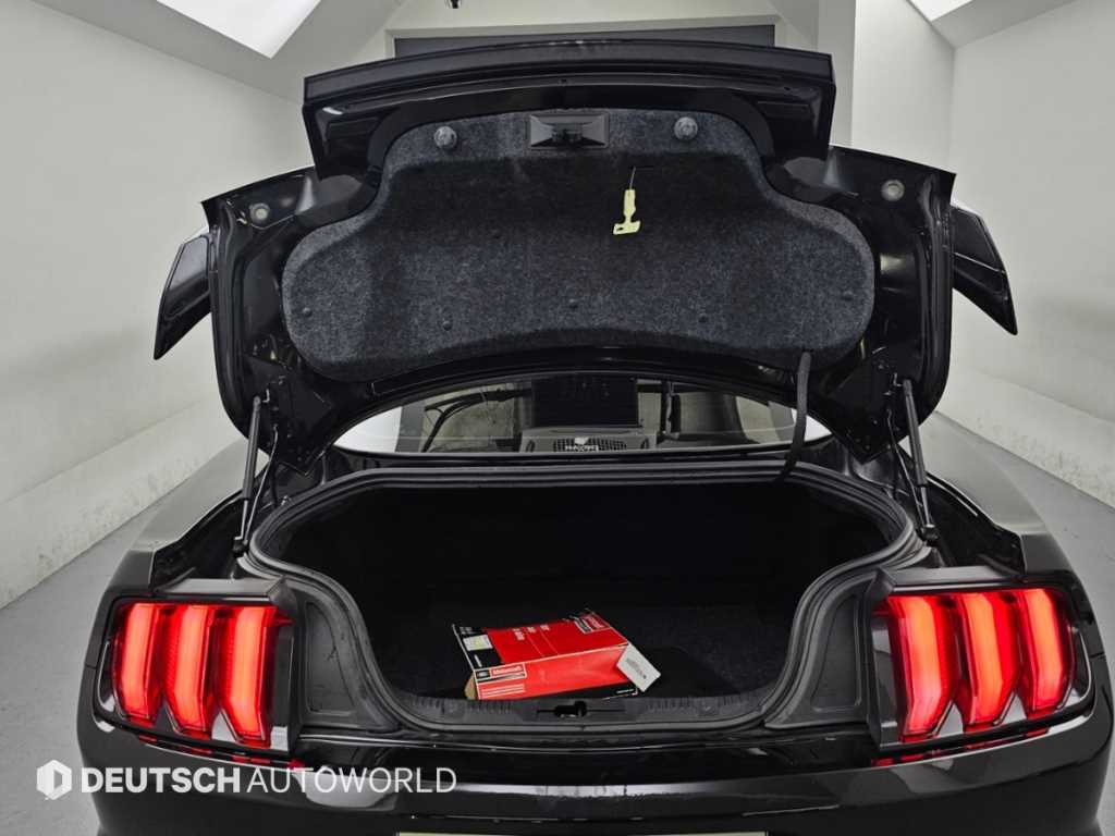 Ford Mustang — photo 19
