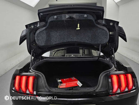 Ford Mustang — photo 19