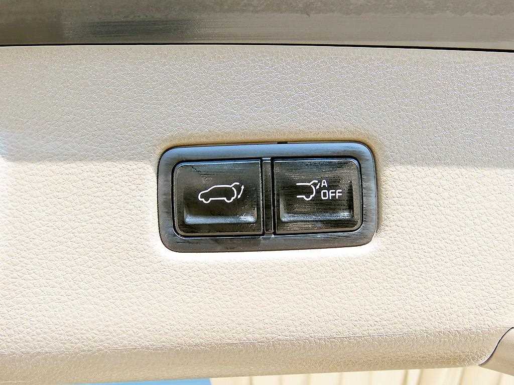 Kia Carnival — photo 16
