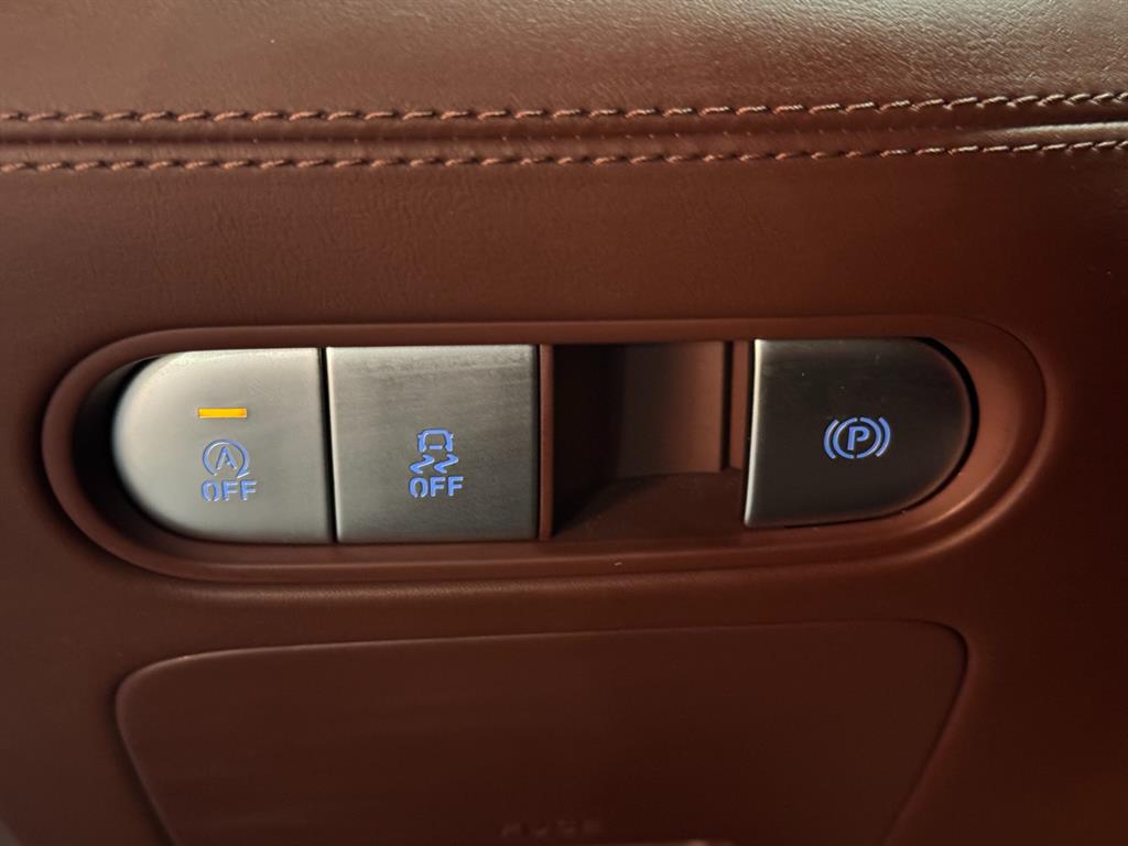 Genesis G90 — photo 17