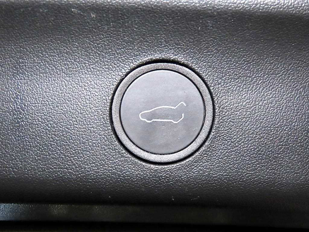 Tesla Model Y — photo 16