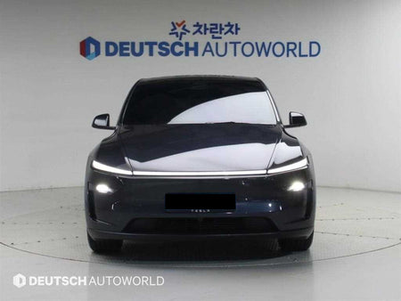 Tesla Model Y — photo 03