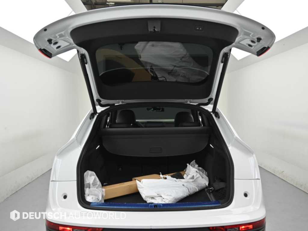 Audi SQ5 — photo 19