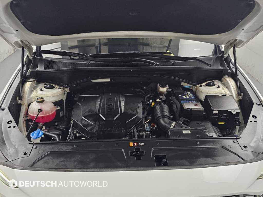 Hyundai Santafe — photo 06