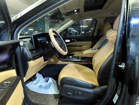Kia Carnival — photo 06