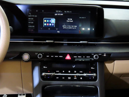 Kia Carnival — photo 12