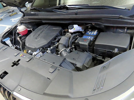 Kia Carnival — photo 19
