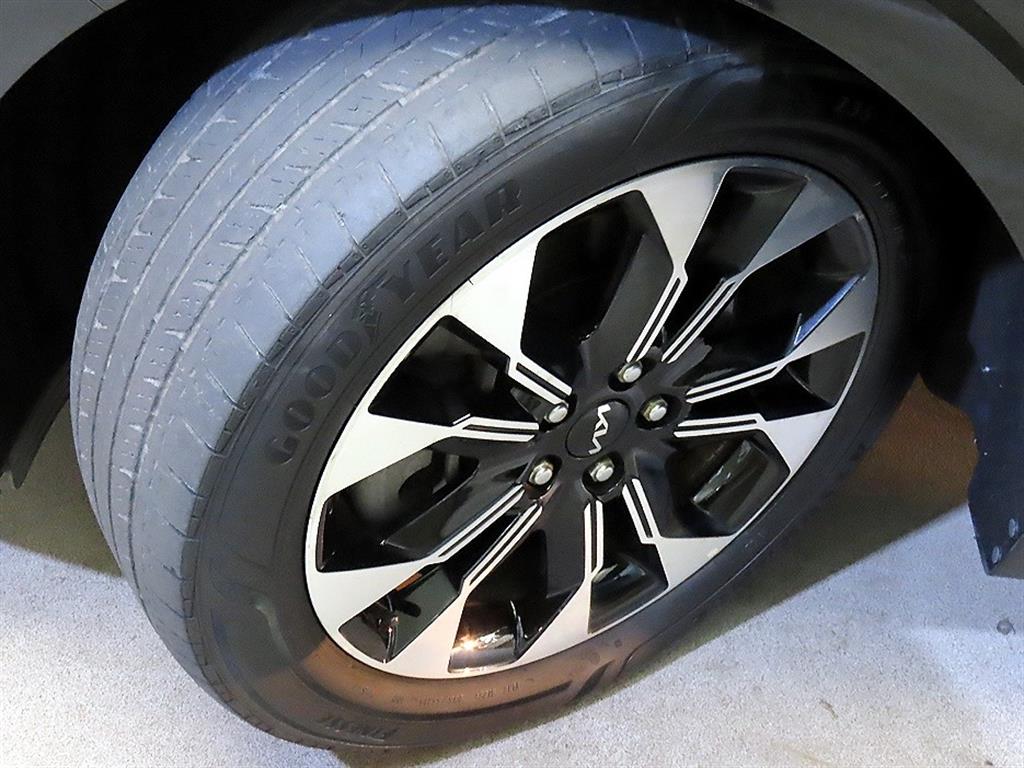 Kia Carnival — photo 20