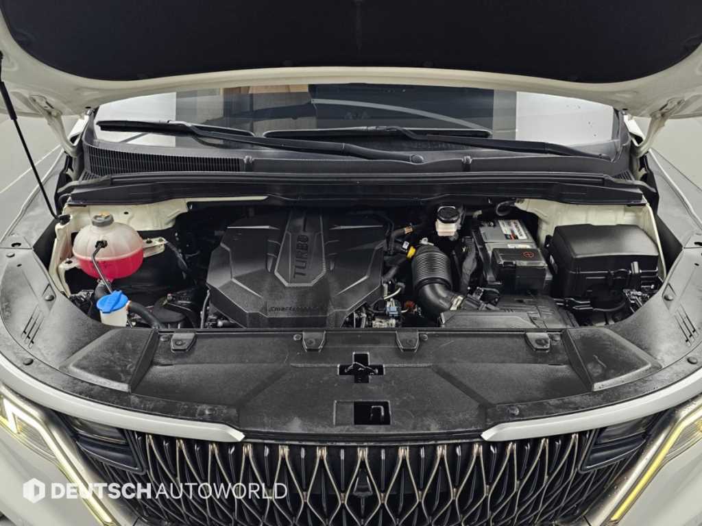 Kia Carnival — photo 06
