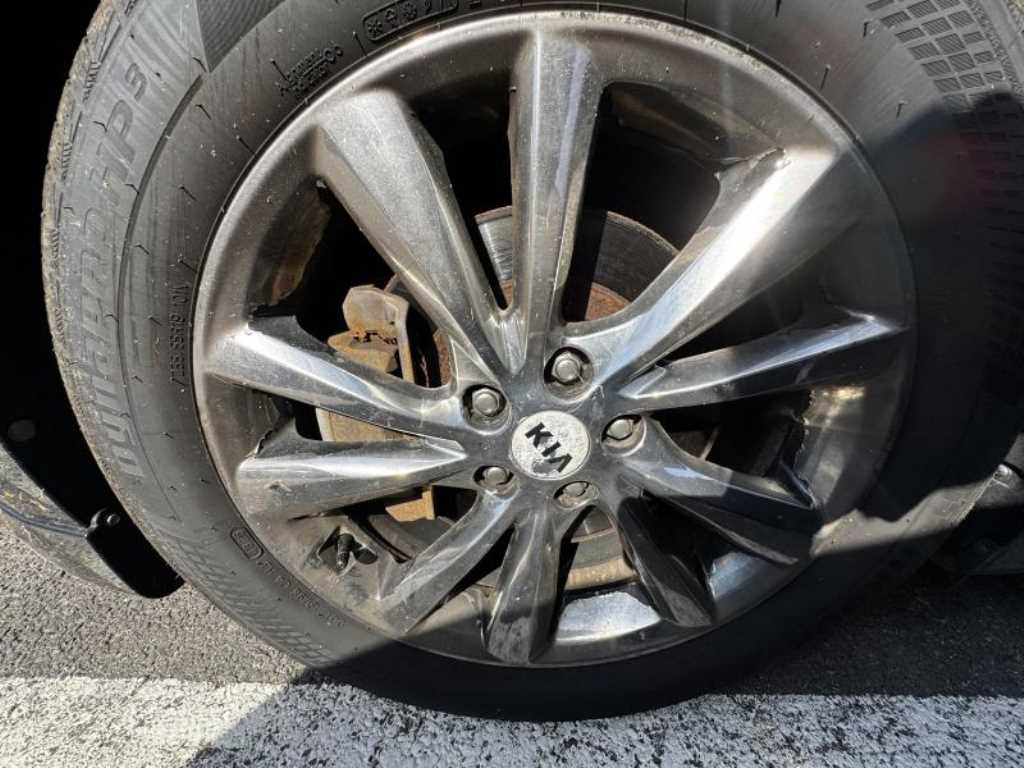 Kia Carnival — photo 18