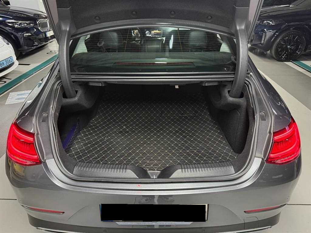 Mercedes-Benz CLS-Class — photo 19